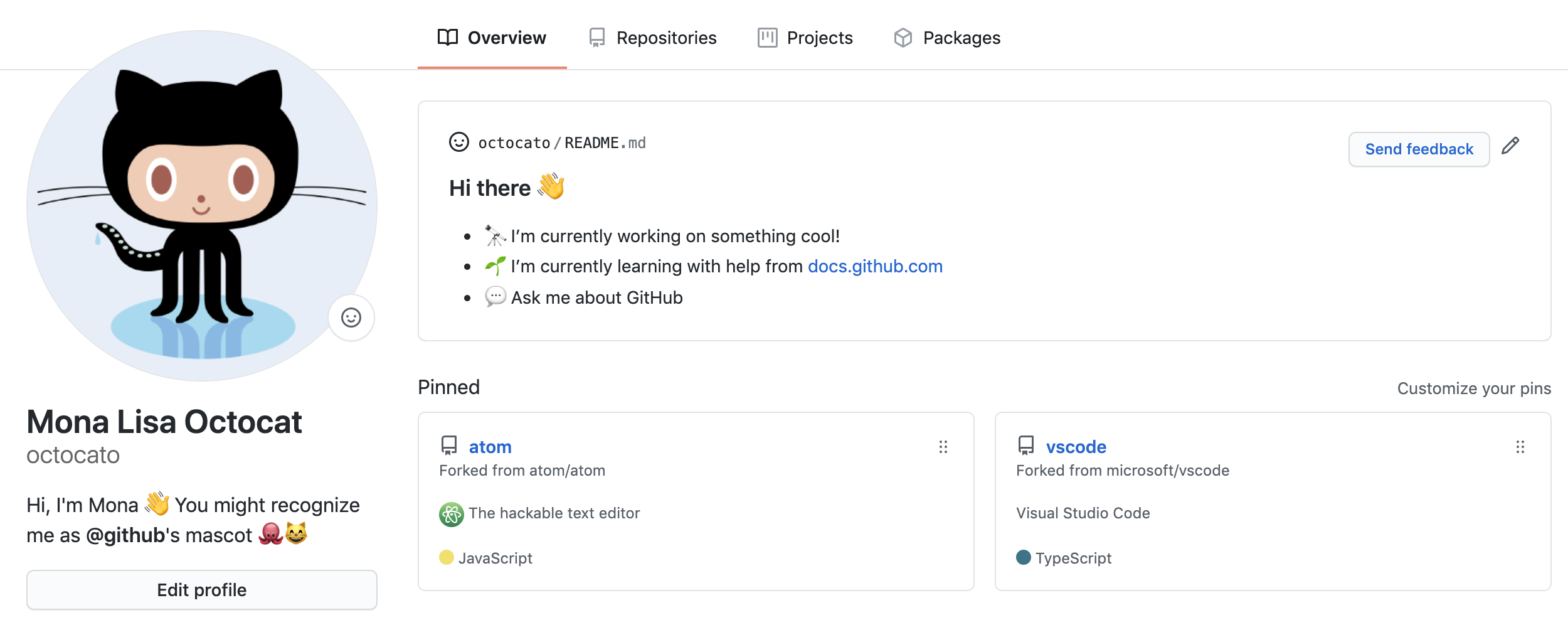 Github Profile Page 